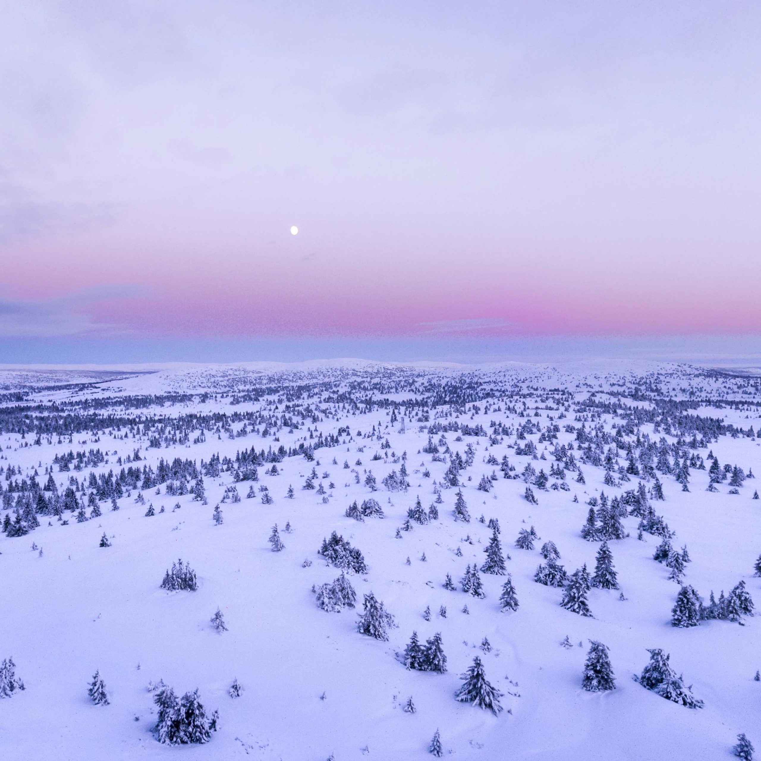 Norvegia – Fiordi d’Inverno