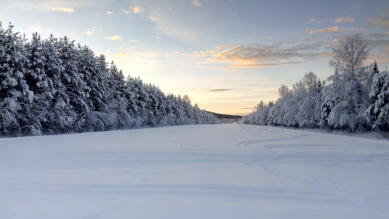 Finlandia e Svezia – Artico Autentico da Umeå a Skellefteå