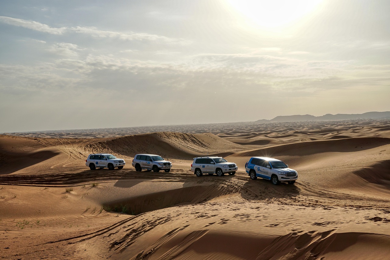 Emirati Arabi – Gran Tour