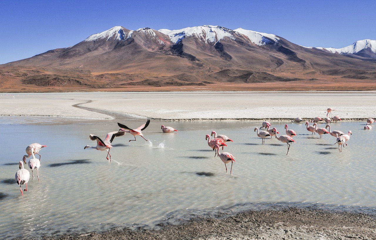 Bolivia – Tour delle Lagune